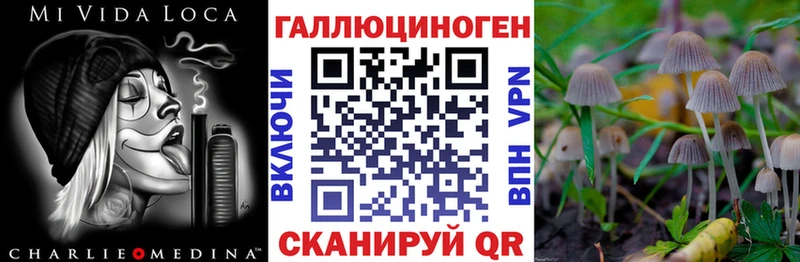 наркошоп  Апрелевка  Галлюциногенные грибы MAGIC MUSHROOMS 